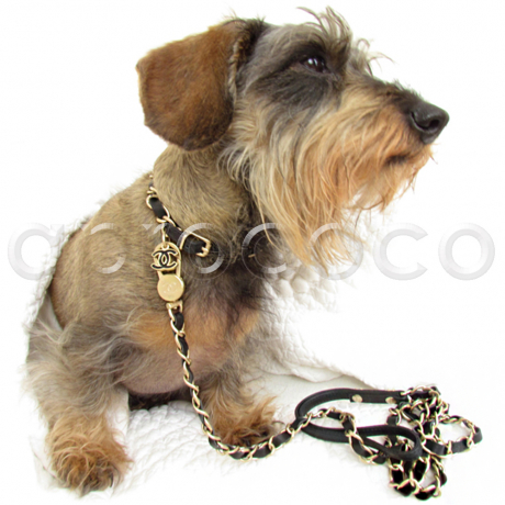 Hunde lieben CHANEL Hundehalsband & Hundeleine SET ~ Goldene Kette mit schwarzem Lederband & CC Anhänger