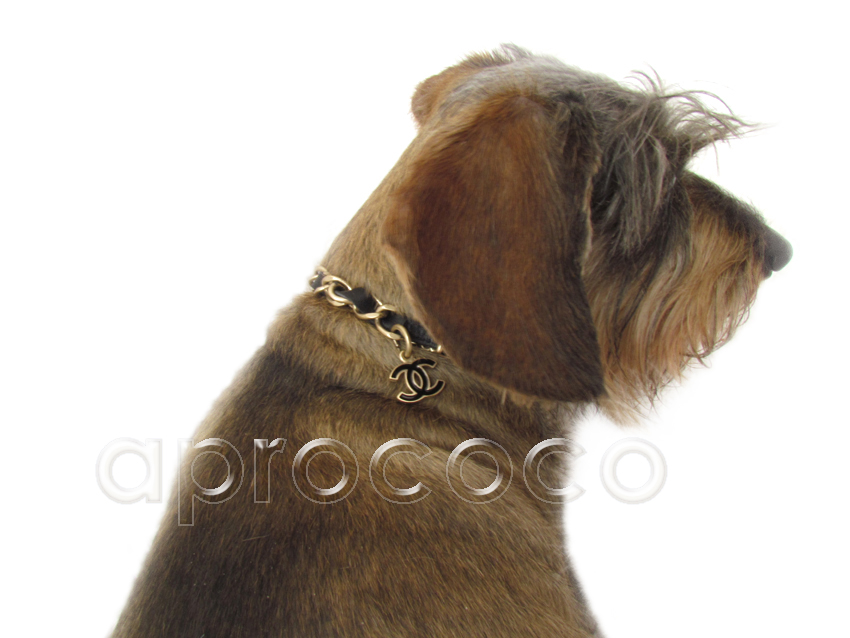 Chanel dog collar, designer dog collar, Parisian collar, luxury pet collar  • Miss Choco Chownel Dog Boutique