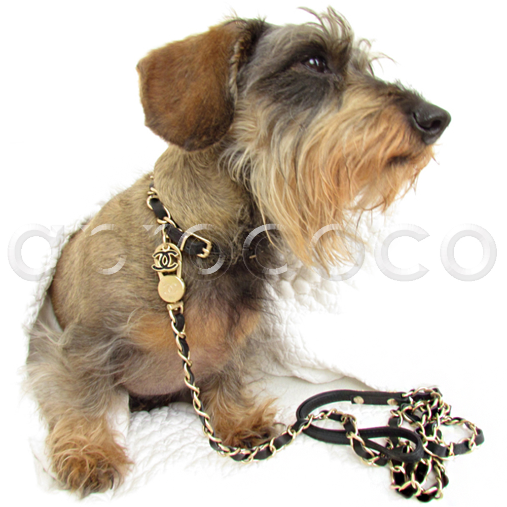 aprococo - CHANEL Dog Collar and Leash SET ~ Gold Chain with Black